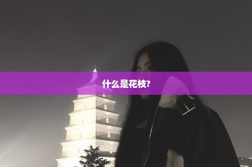 什么是花枝?