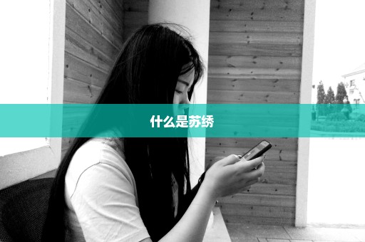 什么是苏绣