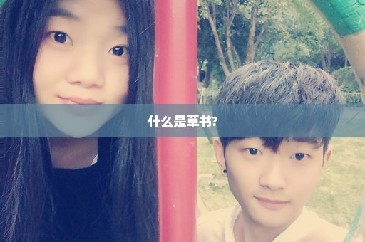什么是草书?