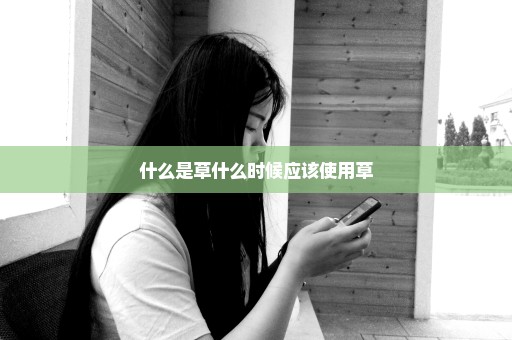 什么是草什么时候应该使用草