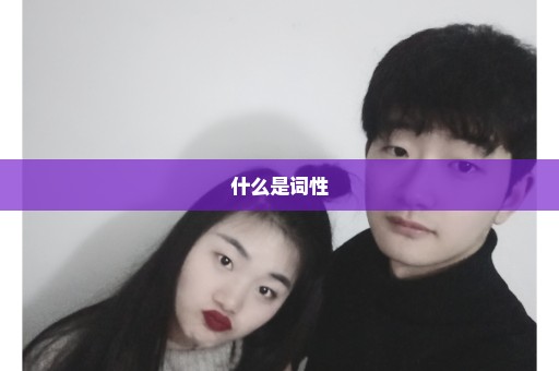 什么是词性
