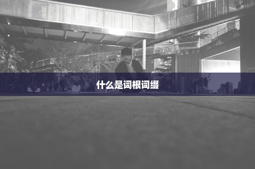 什么是词根词缀