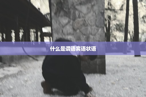 什么是谓语宾语状语