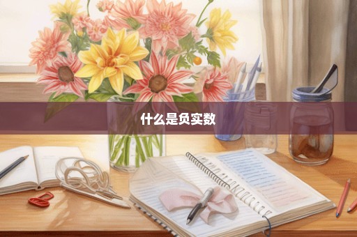 什么是负实数