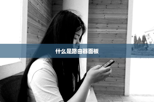 什么是路由器面板