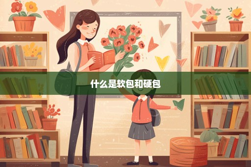 什么是软包和硬包
