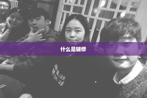 什么是辅修
