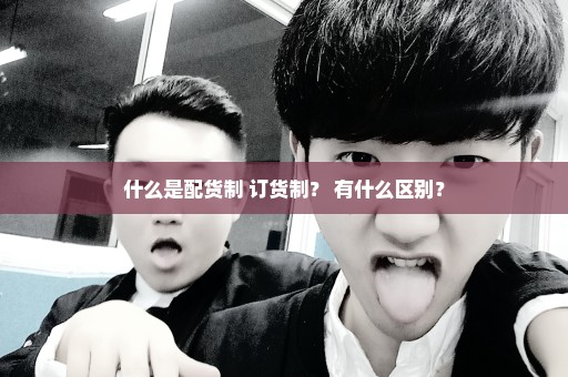什么是配货制 订货制？ 有什么区别？