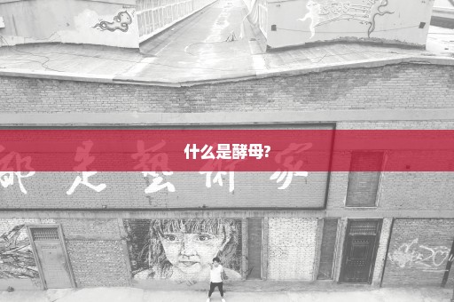 什么是酵母?