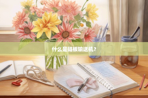 什么是链板输送机？