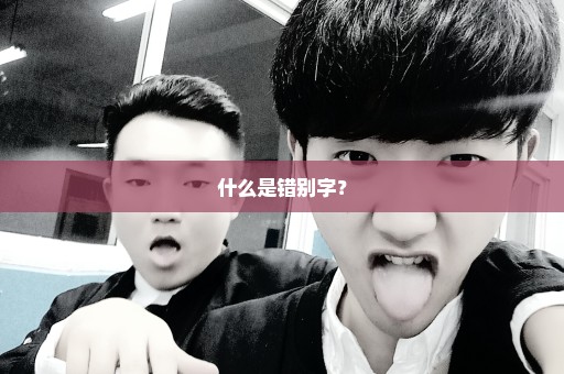 什么是错别字？