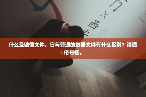 什么是镜像文件，它与普通的数据文件有什么区别？请通俗易懂。