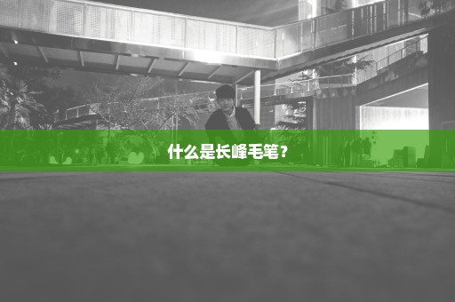 什么是长峰毛笔？