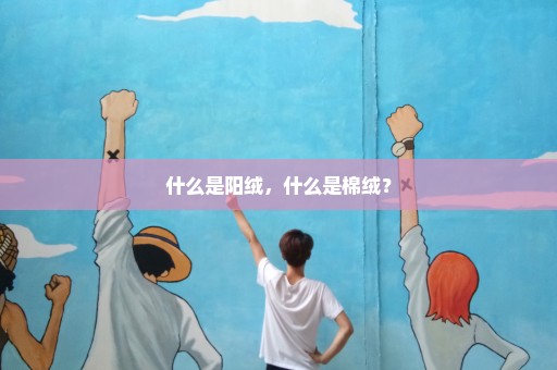 什么是阳绒，什么是棉绒？