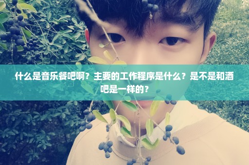 什么是音乐餐吧啊？主要的工作程序是什么？是不是和酒吧是一样的？