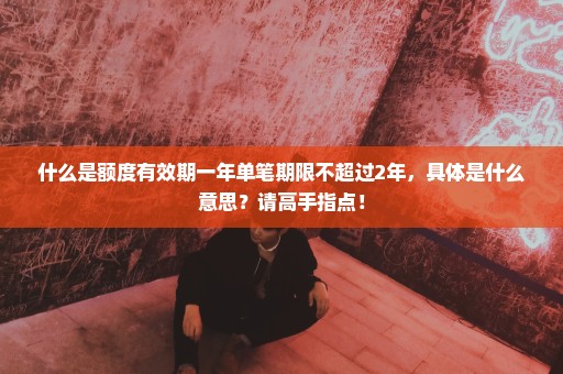 什么是额度有效期一年单笔期限不超过2年，具体是什么意思？请高手指点！