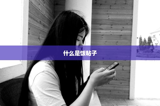 什么是饭粘子