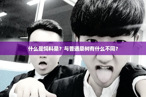 什么是饲料桑？与普通桑树有什么不同？