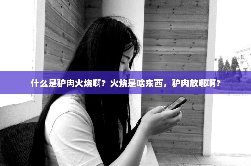 什么是驴肉火烧啊？火烧是啥东西，驴肉放哪啊？
