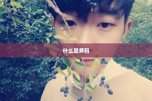 什么是黄码