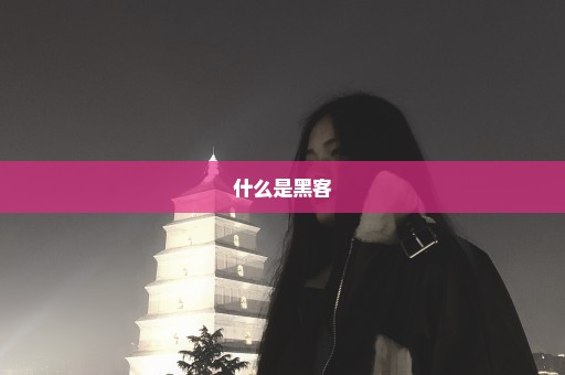 什么是黑客