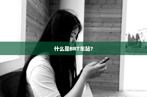 什么是BRT车站？