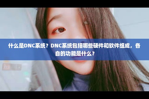什么是DNC系统？DNC系统包括哪些硬件和软件组成，各自的功能是什么？