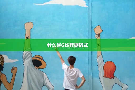 什么是GIS数据格式
