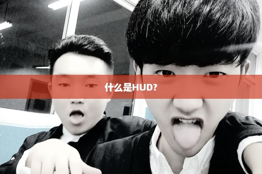 什么是HUD?