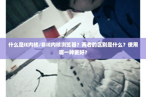 什么是IE内核/非IE内核浏览器？两者的区别是什么？使用哪一种更好？