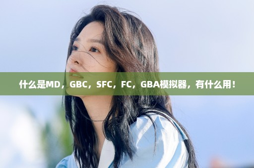 什么是MD，GBC，SFC，FC，GBA模拟器，有什么用！