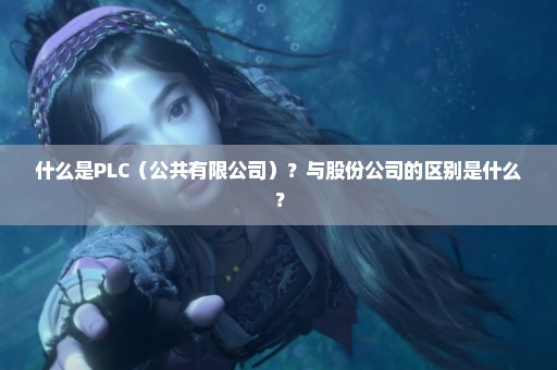 什么是PLC（公共有限公司）？与股份公司的区别是什么？