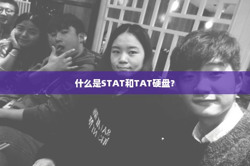 什么是STAT和TAT硬盘？