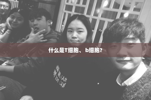 什么是T细胞、 b细胞？