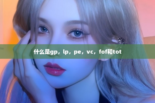 什么是gp，lp，pe，vc，fof和tot