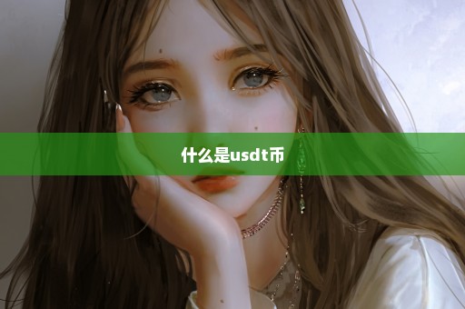 什么是usdt币