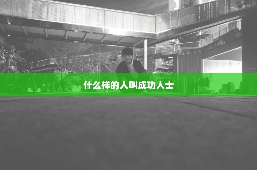 什么样的人叫成功人士