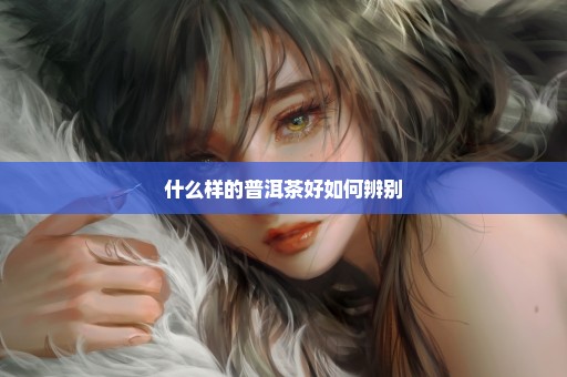 什么样的普洱茶好如何辨别