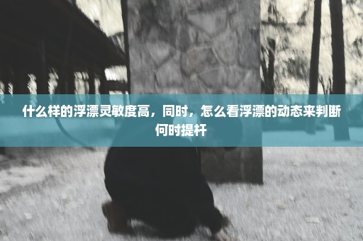什么样的浮漂灵敏度高，同时，怎么看浮漂的动态来判断何时提杆