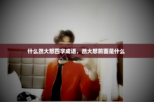 什么然大怒四字成语，然大怒前面是什么 