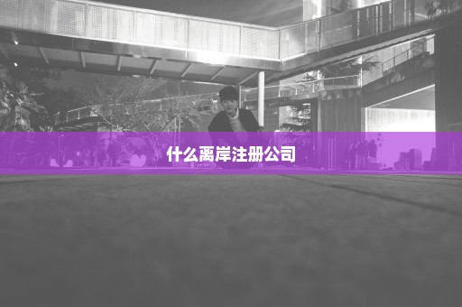什么离岸注册公司