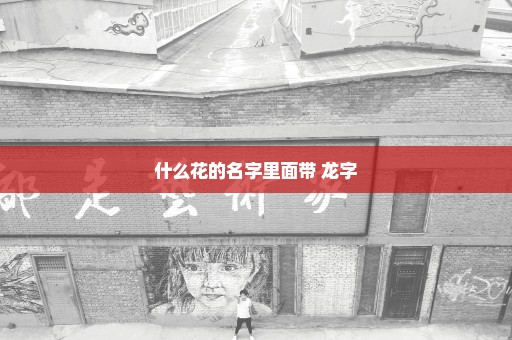 什么花的名字里面带 龙字