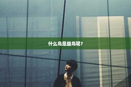 什么鸟是益鸟呢？