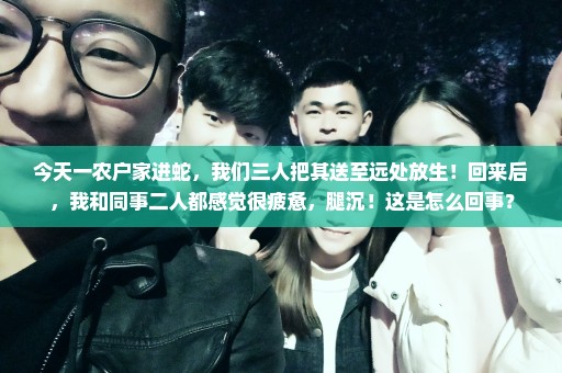 今天一农户家进蛇，我们三人把其送至远处放生！回来后，我和同事二人都感觉很疲惫，腿沉！这是怎么回事？