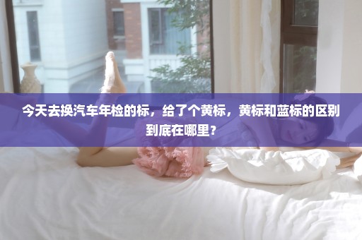 今天去换汽车年检的标，给了个黄标，黄标和蓝标的区别到底在哪里？