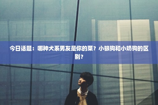 今日话题：哪种犬系男友是你的菜？小狼狗和小奶狗的区别？