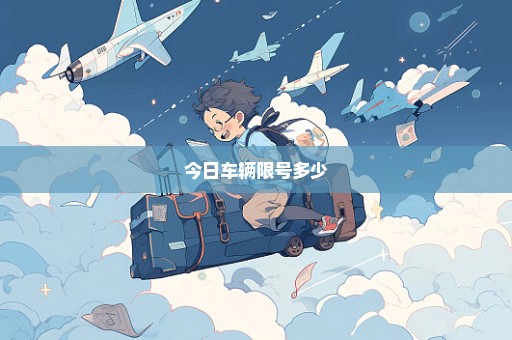 今日车辆限号多少
