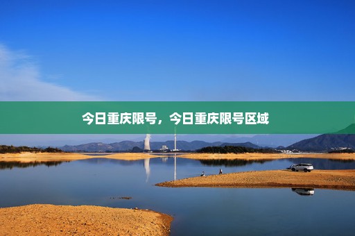 今日重庆限号，今日重庆限号区域 