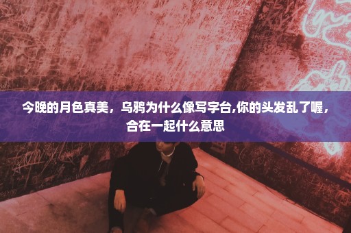 今晚的月色真美，乌鸦为什么像写字台,你的头发乱了喔，合在一起什么意思