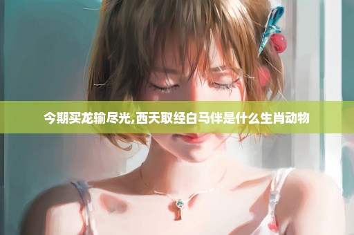 今期买龙输尽光,西天取经白马伴是什么生肖动物